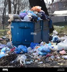 Best Dumpster Rental Services  in Everett, WA