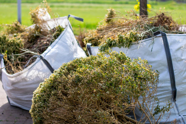 Shed Removal in Everett, WA